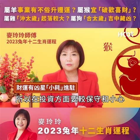 2023雞犯太歲|兔年生肖運程2023｜十二生肖運勢大拆解！屬雞將歷3 